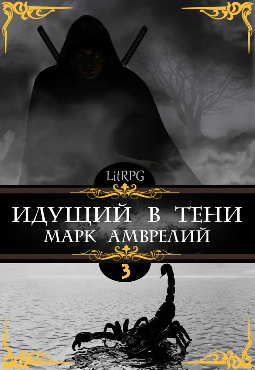 Обложка Идущий в тени 3