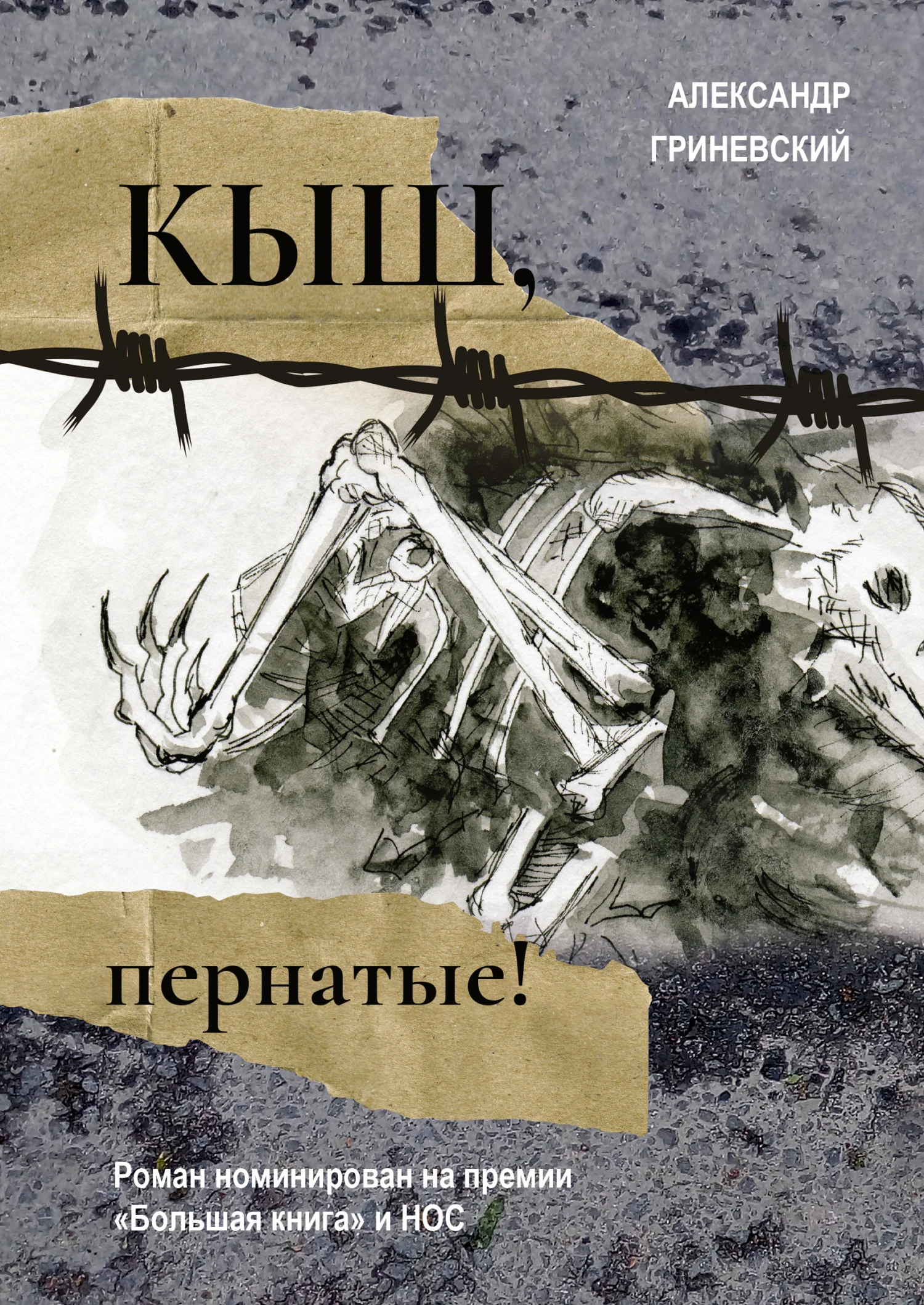 Обложка Кыш, пернатые!