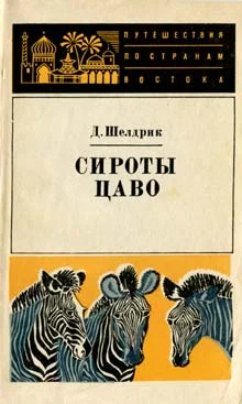 Обложка Сироты Цаво
