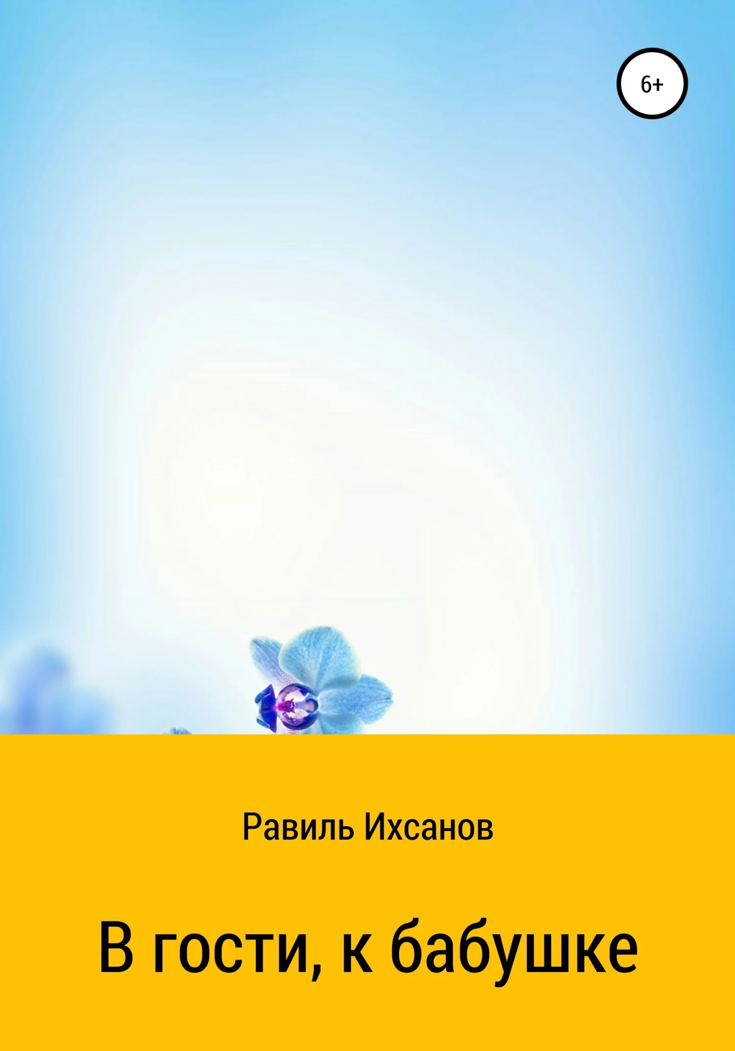 Обложка В гости, к бабушке