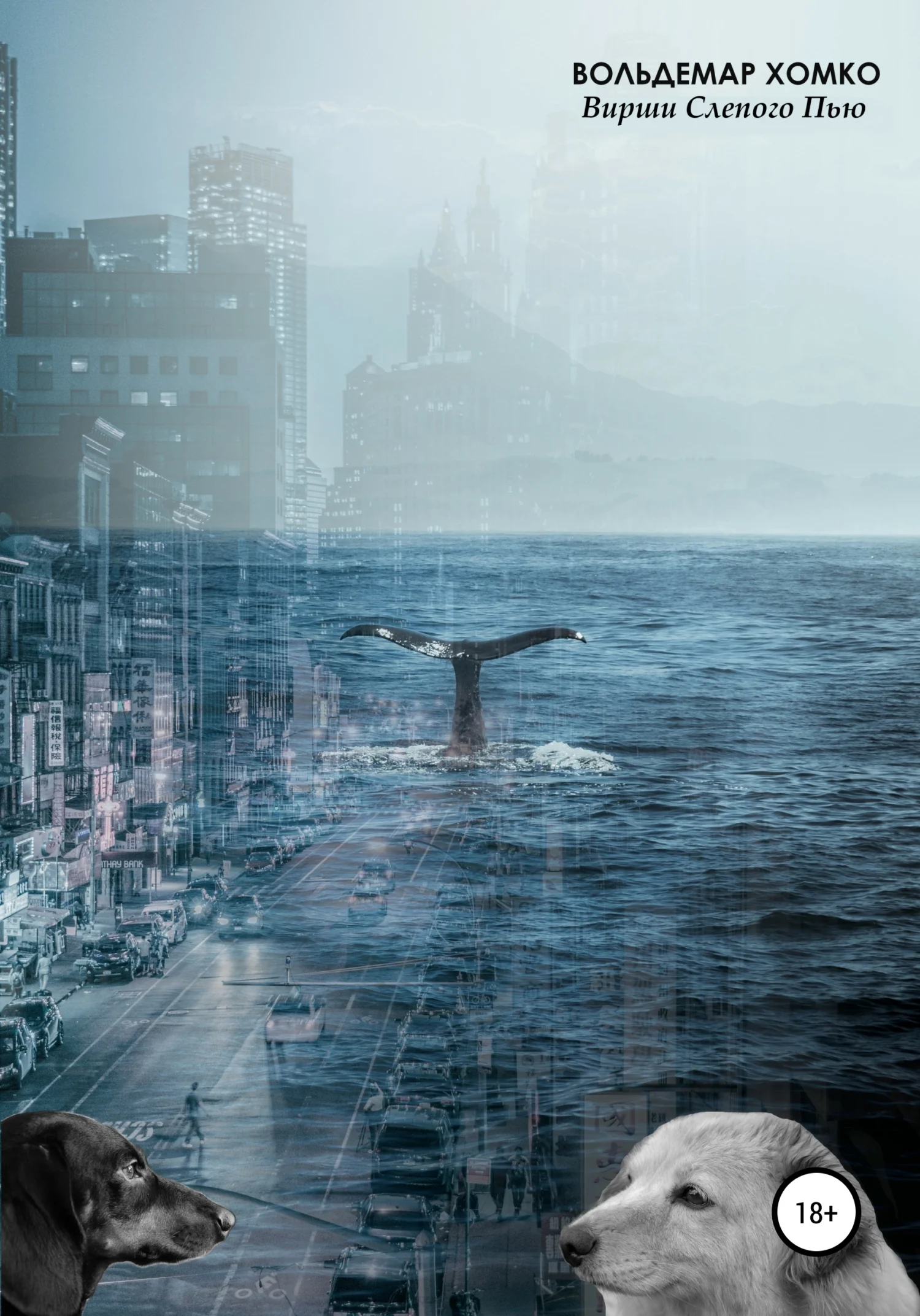 Обложка Вирши Слепого Пью