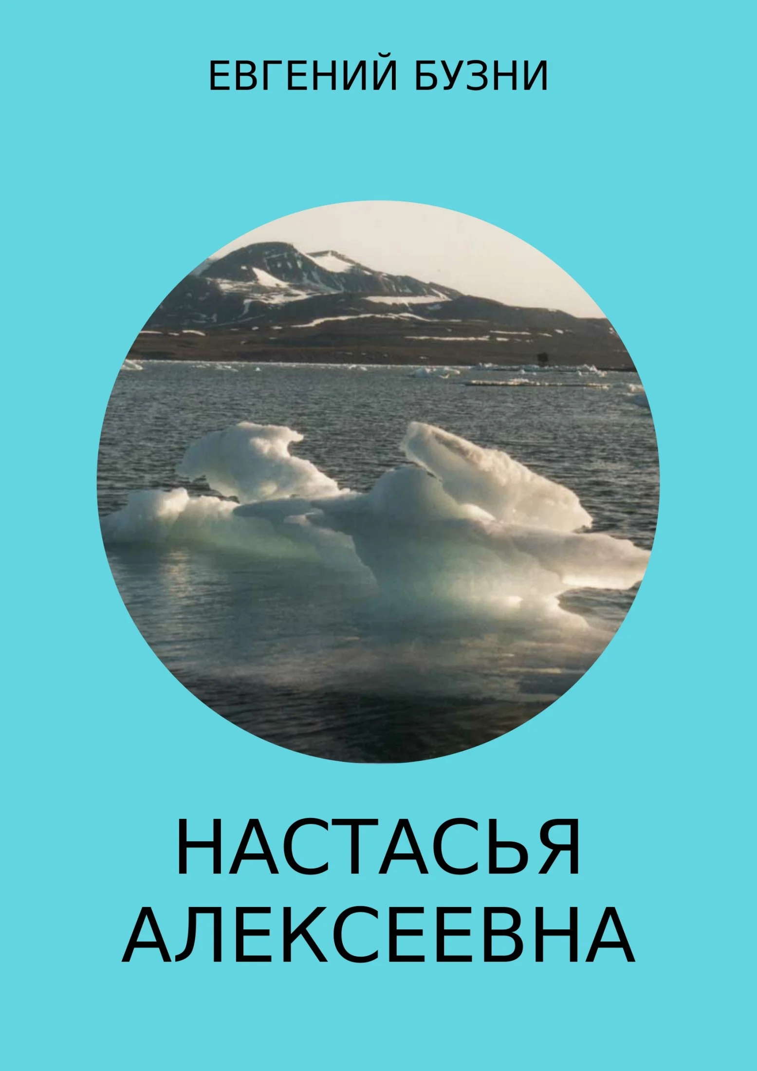 Обложка Настасья Алексеевна. Книга 4