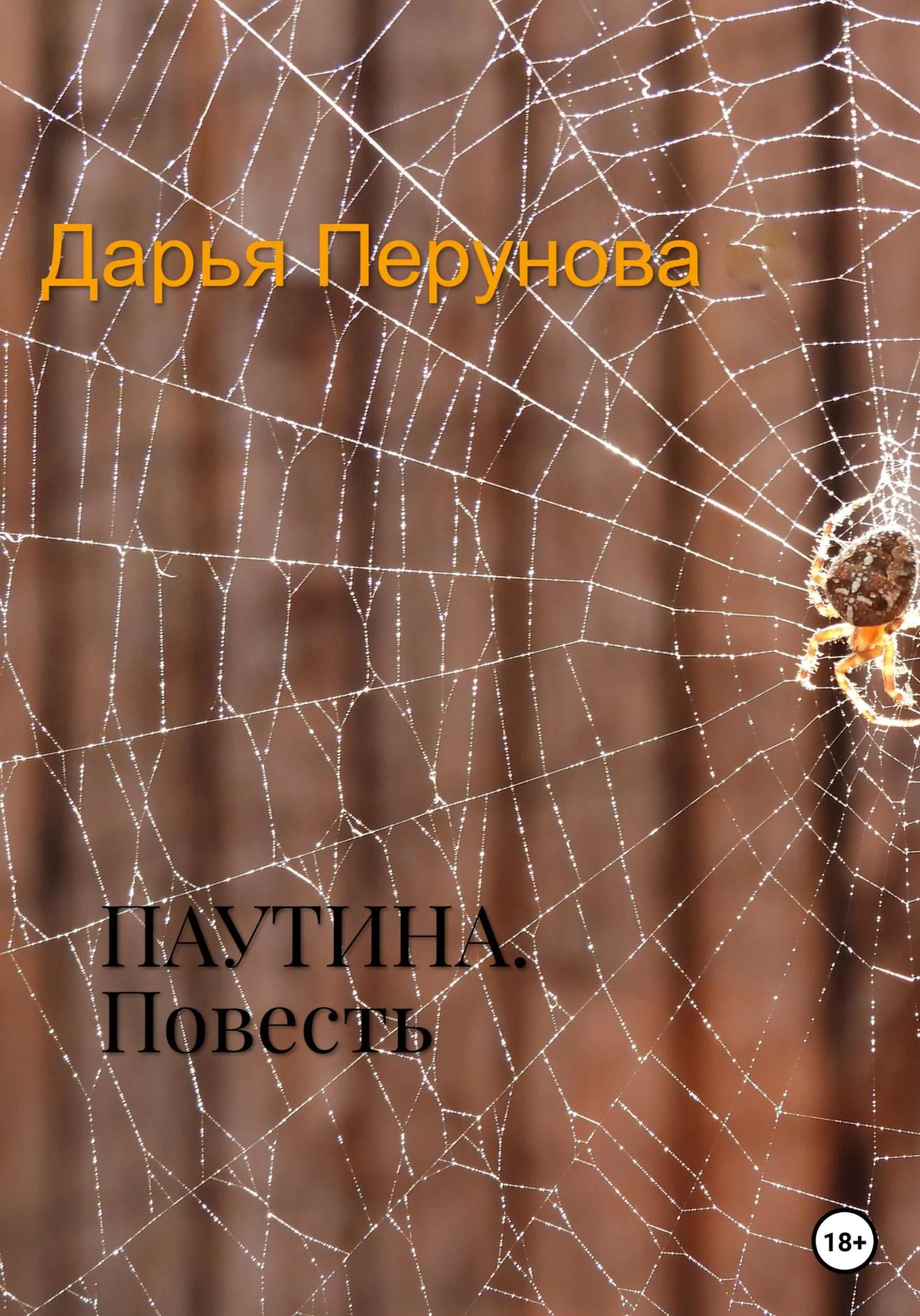 Обложка Паутина