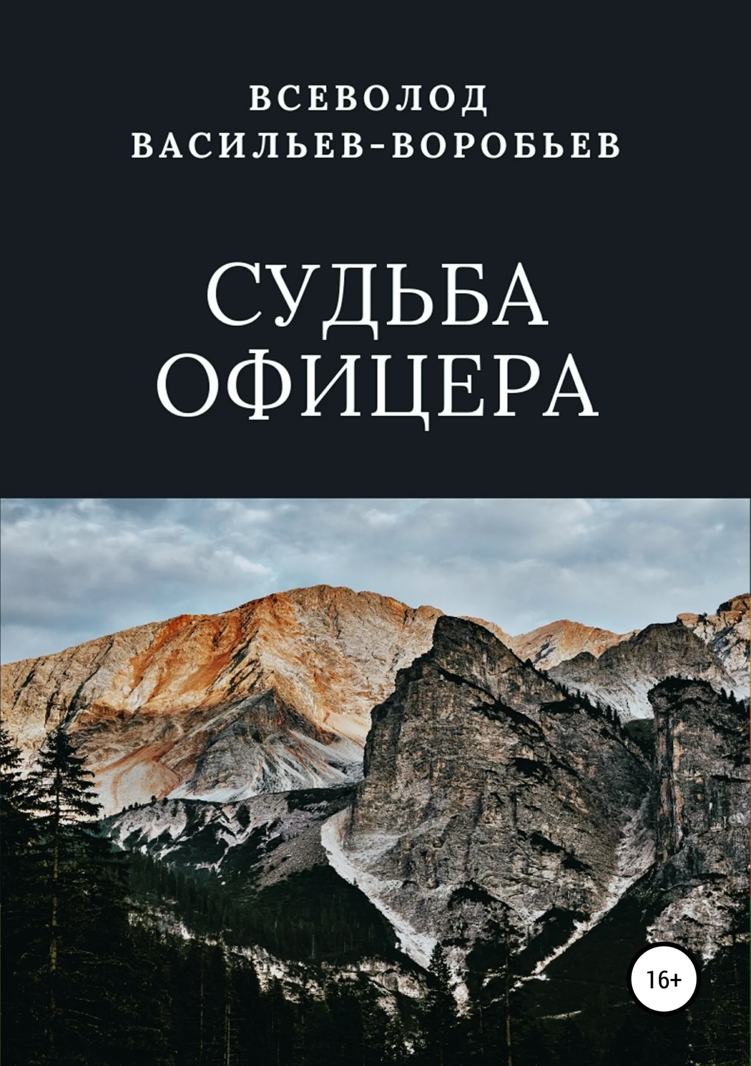 Обложка Судьба офицера
