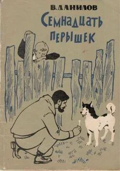 Обложка Семнадцать перышек