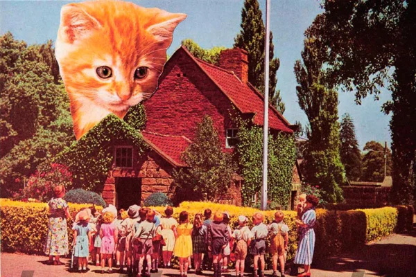 Обложка Еще кошек, пожалуйста
