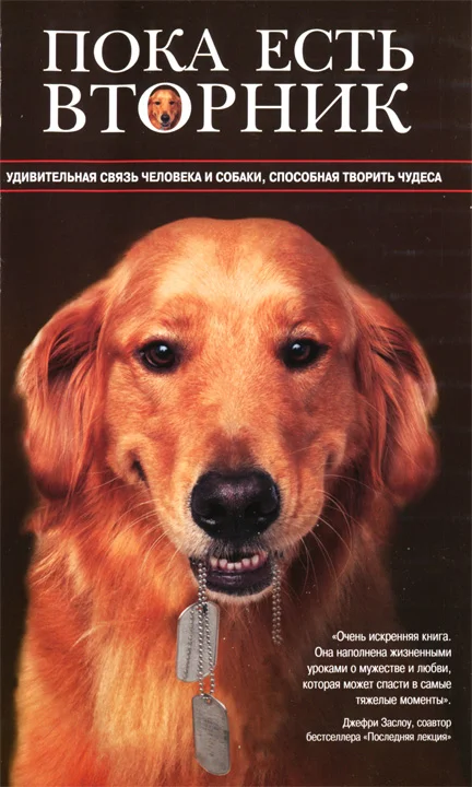 Обложка Пока есть Вторник. Удивительная связь человека и собаки, способная творить чудеса