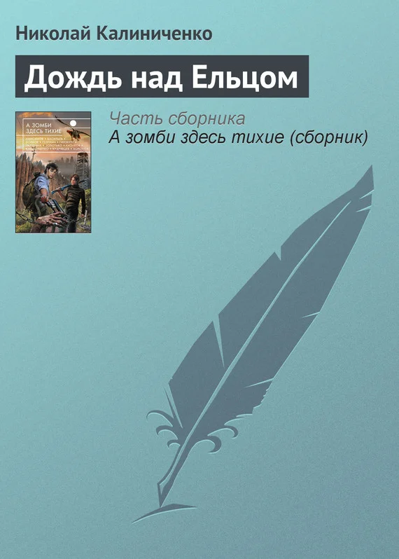 Обложка Дождь над Ельцом