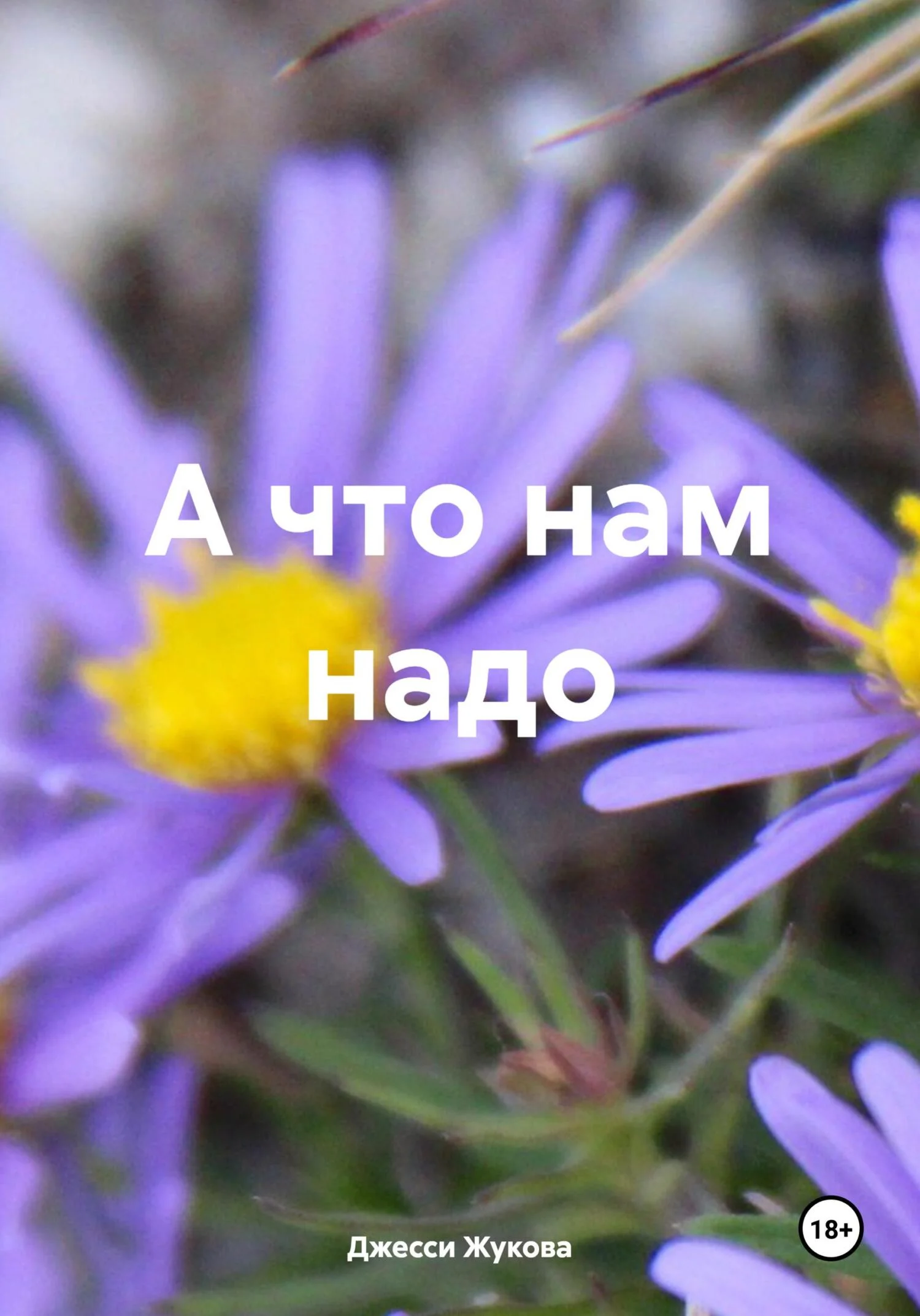 Обложка А что нам надо
