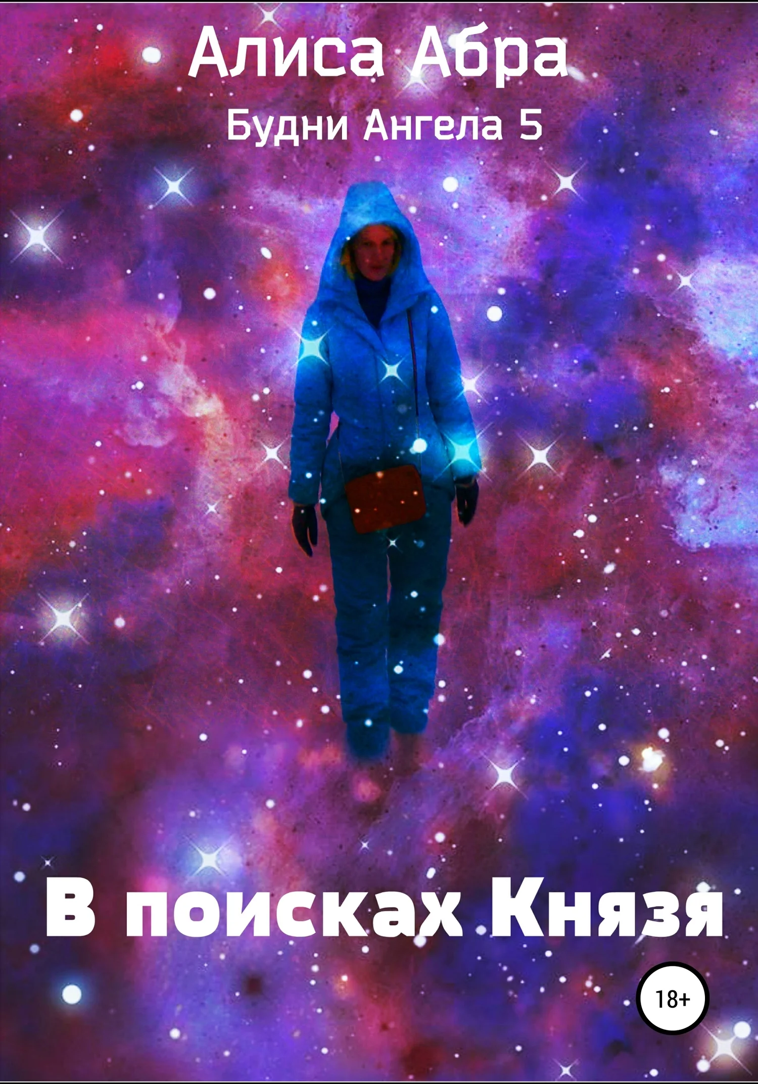 Обложка В поисках Князя