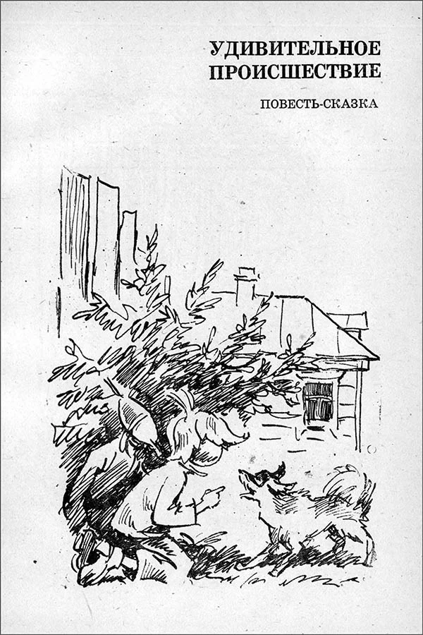 Обложка Удивительное происшествие