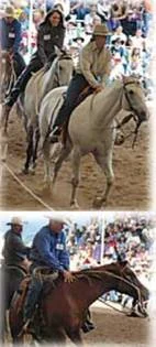 Обложка Урок нажимающего пассажира