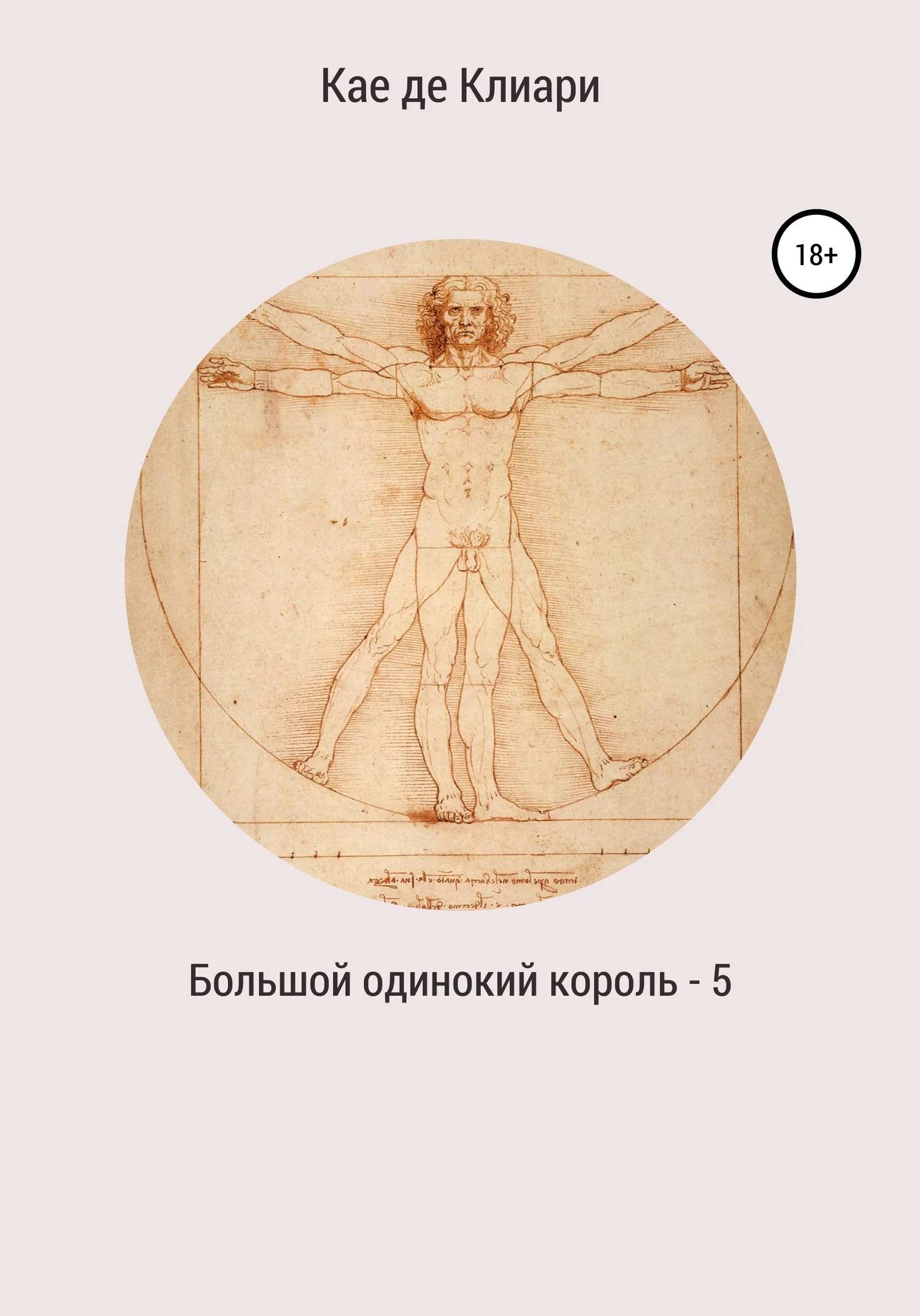 Обложка Большой одинокий король 5