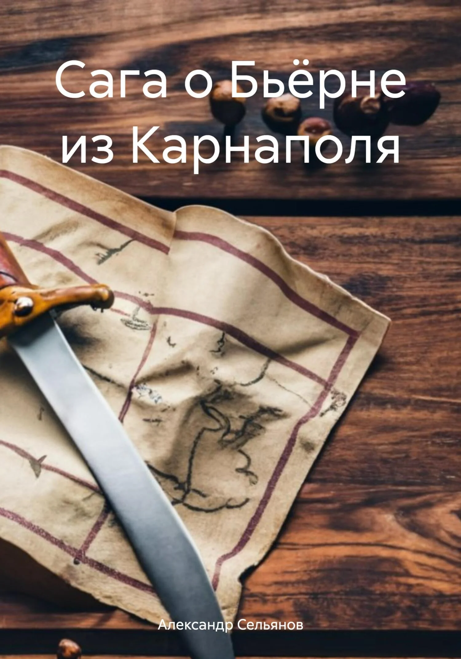Обложка Сага о Бьёрне из Карнаполя