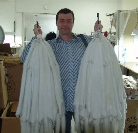 Обложка АСКЕТ