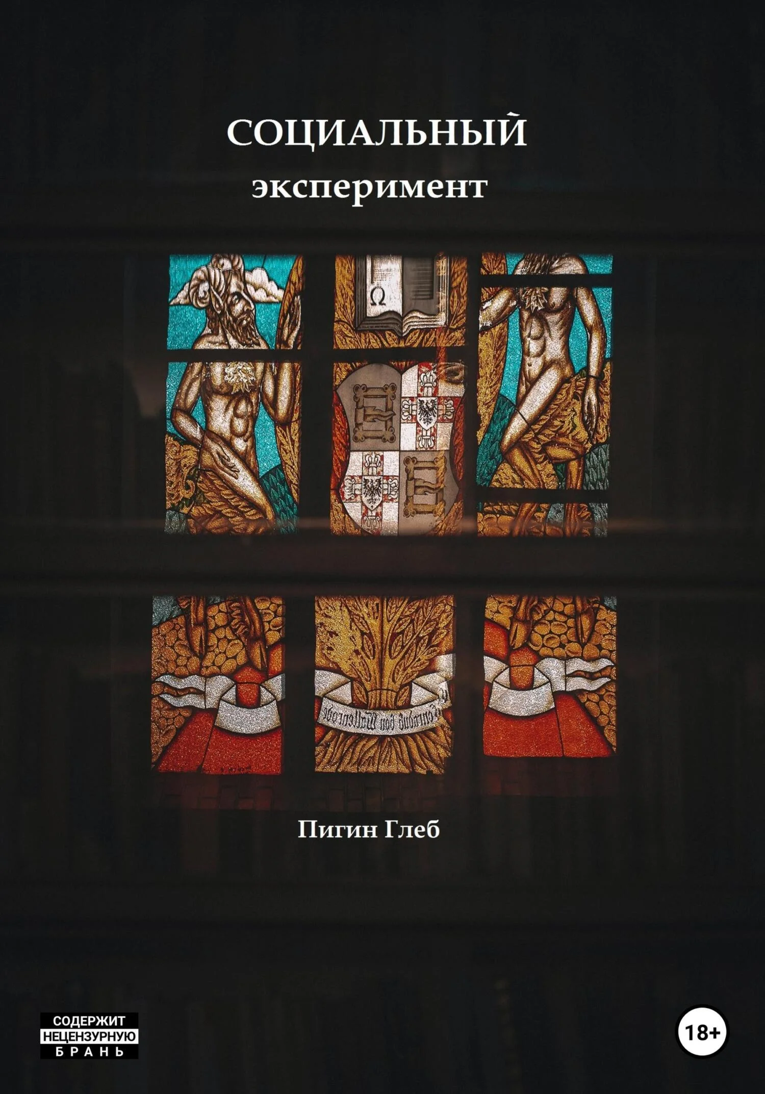 Обложка Социальный эксперимент