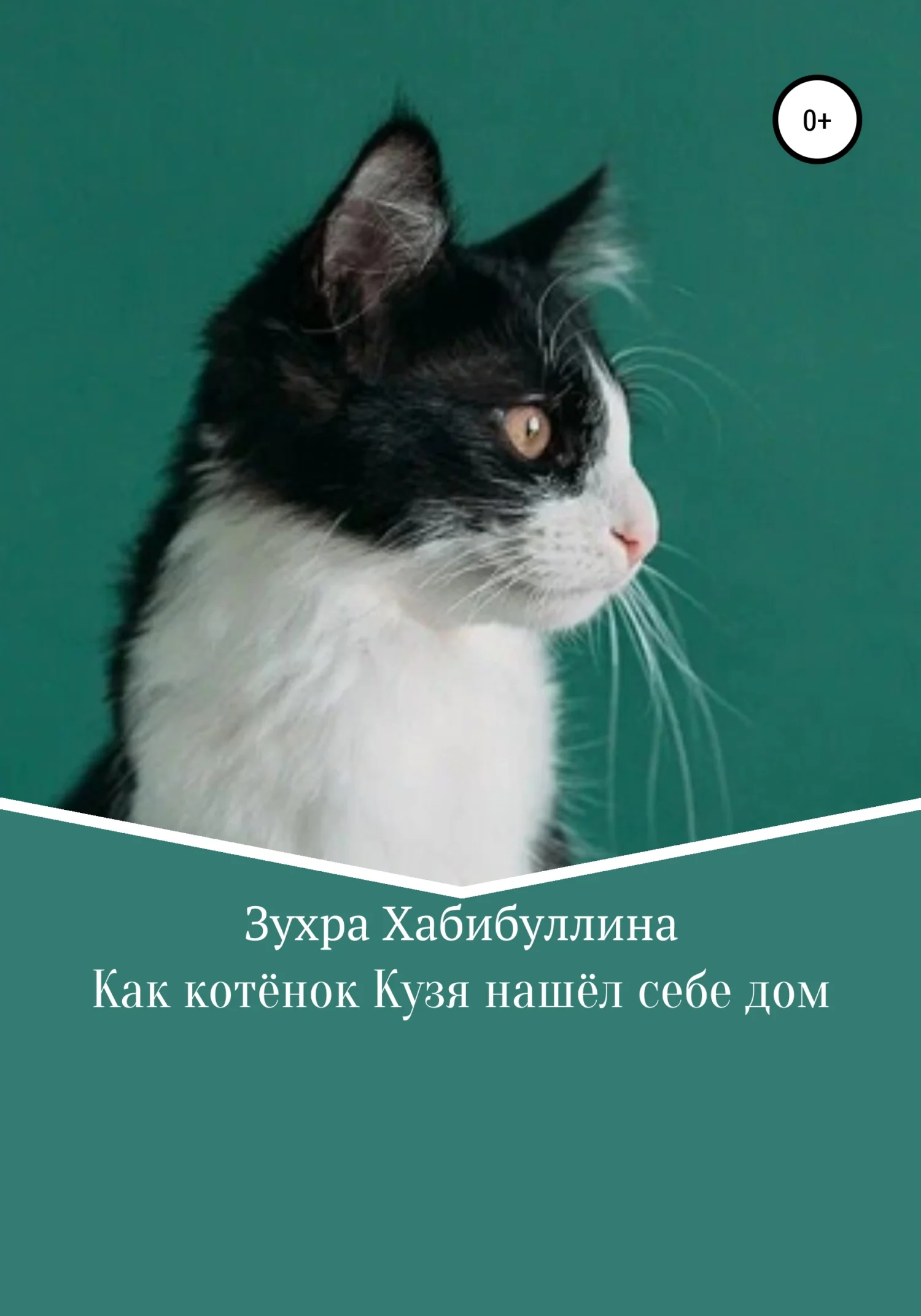 Обложка Как котёнок Кузя нашёл себе дом