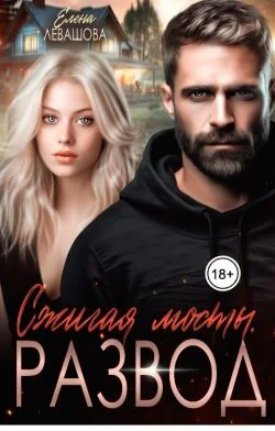 Обложка Сжигая мосты. Развод