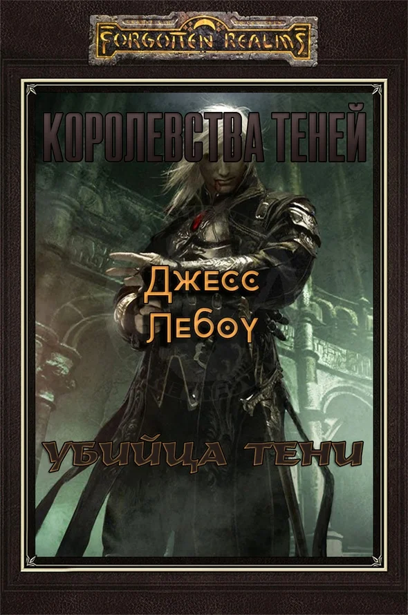 Обложка Убийца Тени