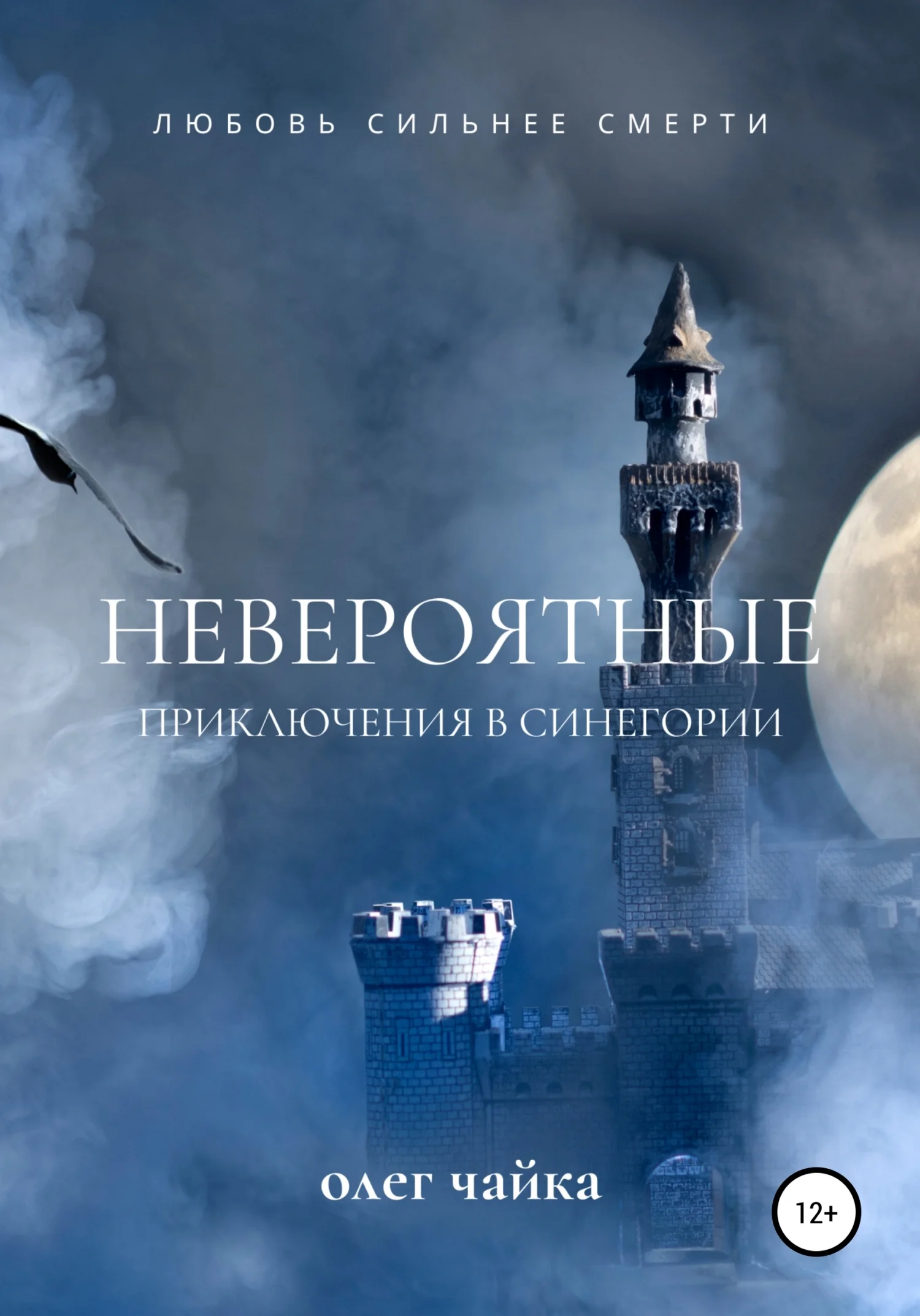 Обложка Невероятные приключения в Синегории