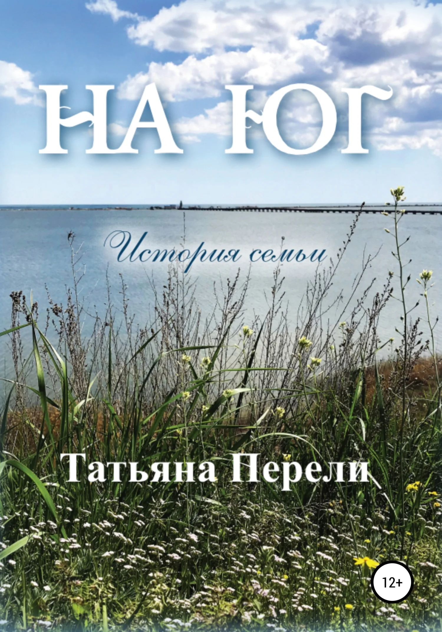 Обложка На юг. История семьи