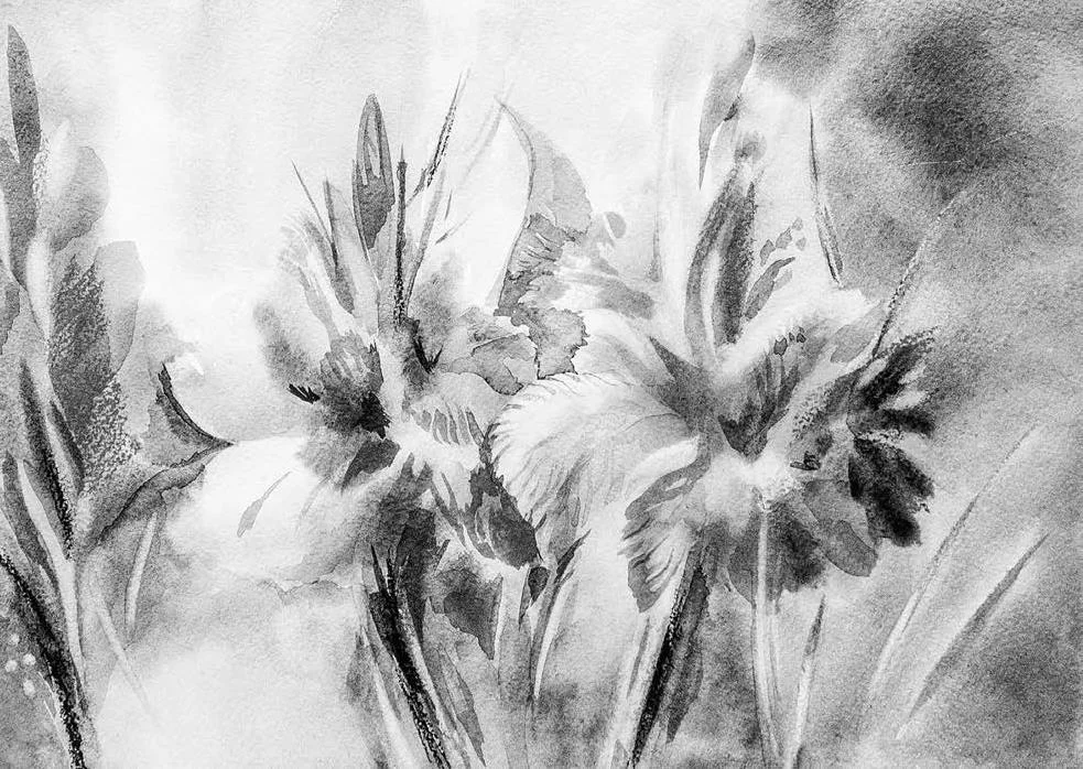 Обложка Калі расцвітуць чорныя ружы