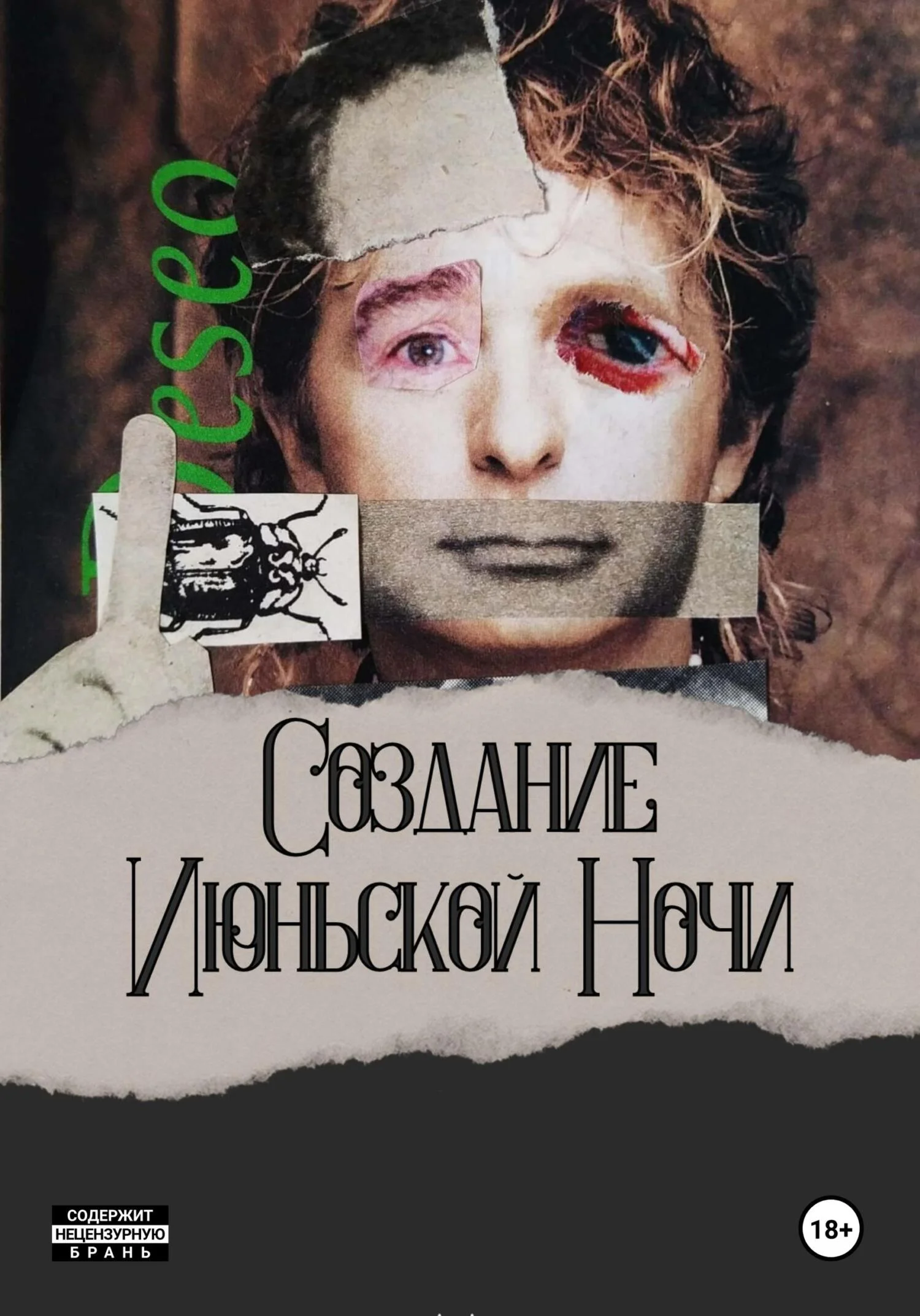 Обложка Создание Июньской Ночи