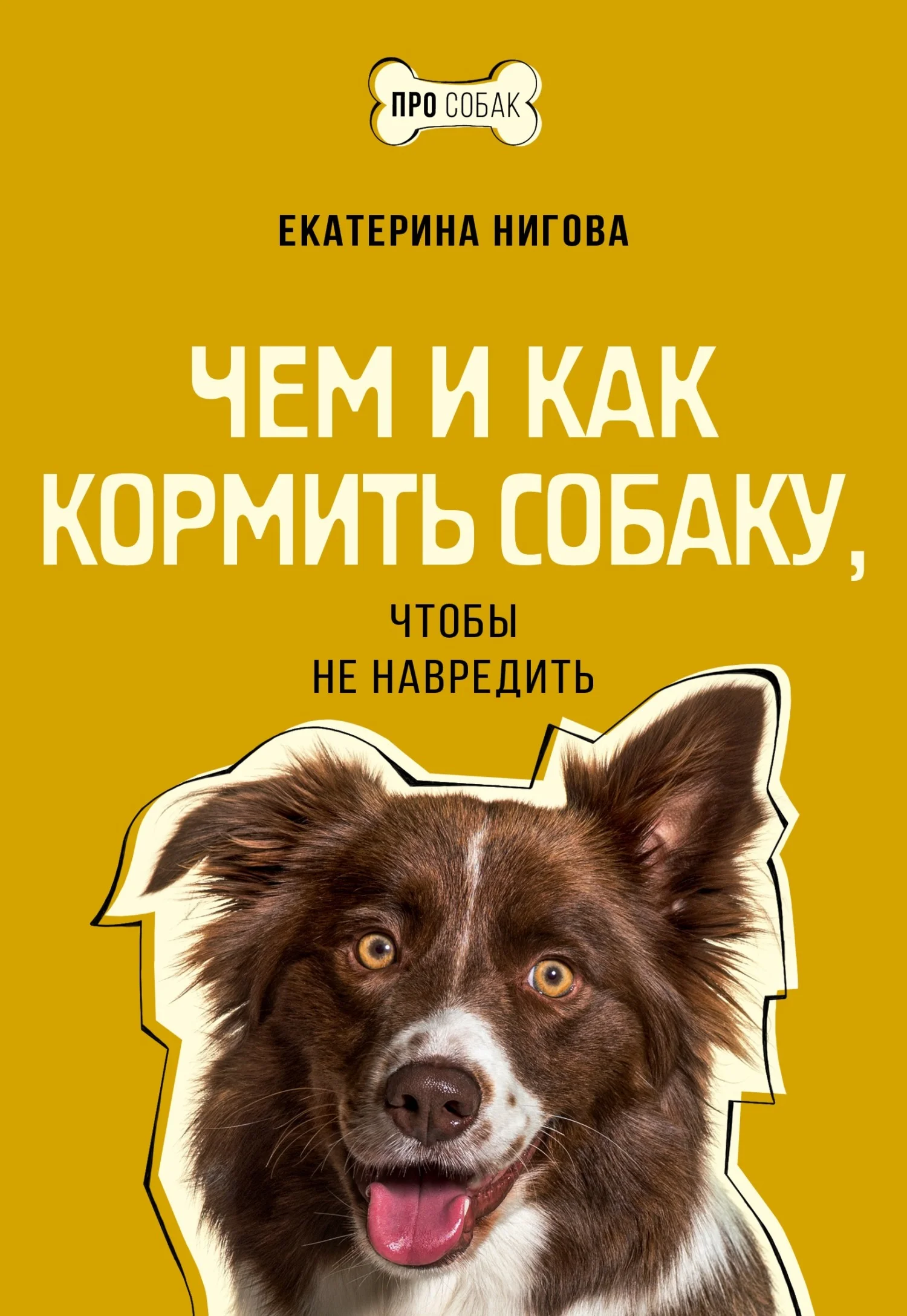 Обложка Чем и как кормить собаку, чтобы не навредить