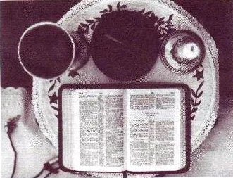 Обложка Материал Ра. Закон Одного. Книга 1.