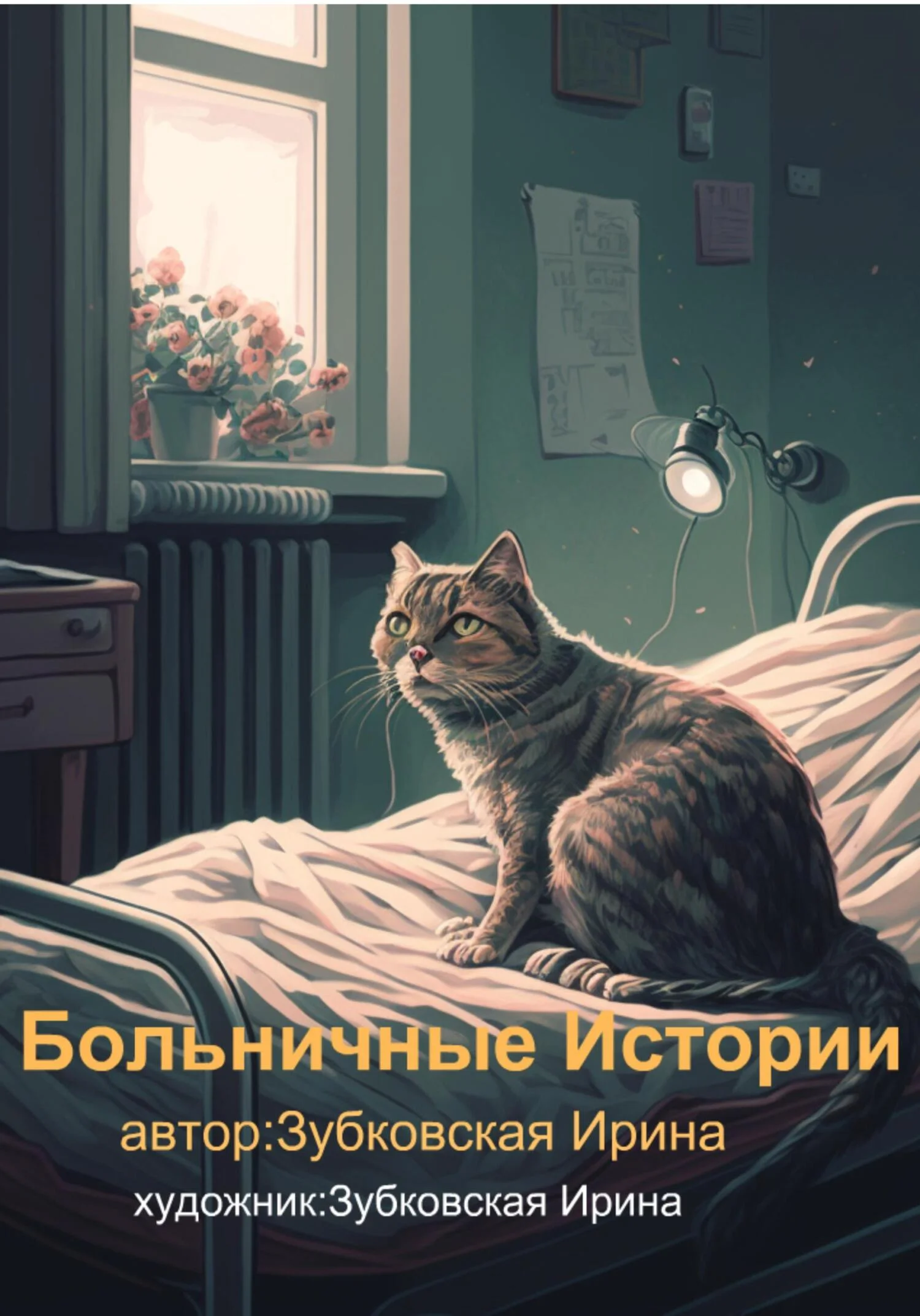 Обложка Больничные истории