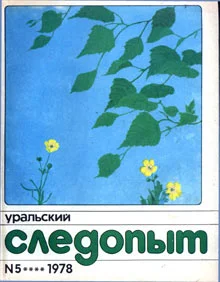 Обложка Преступление в Медовом раю