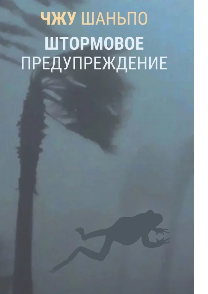 Обложка Штормовое предупреждение