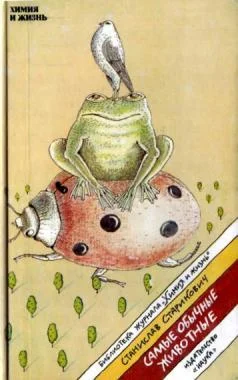 Обложка Самые обычные животные