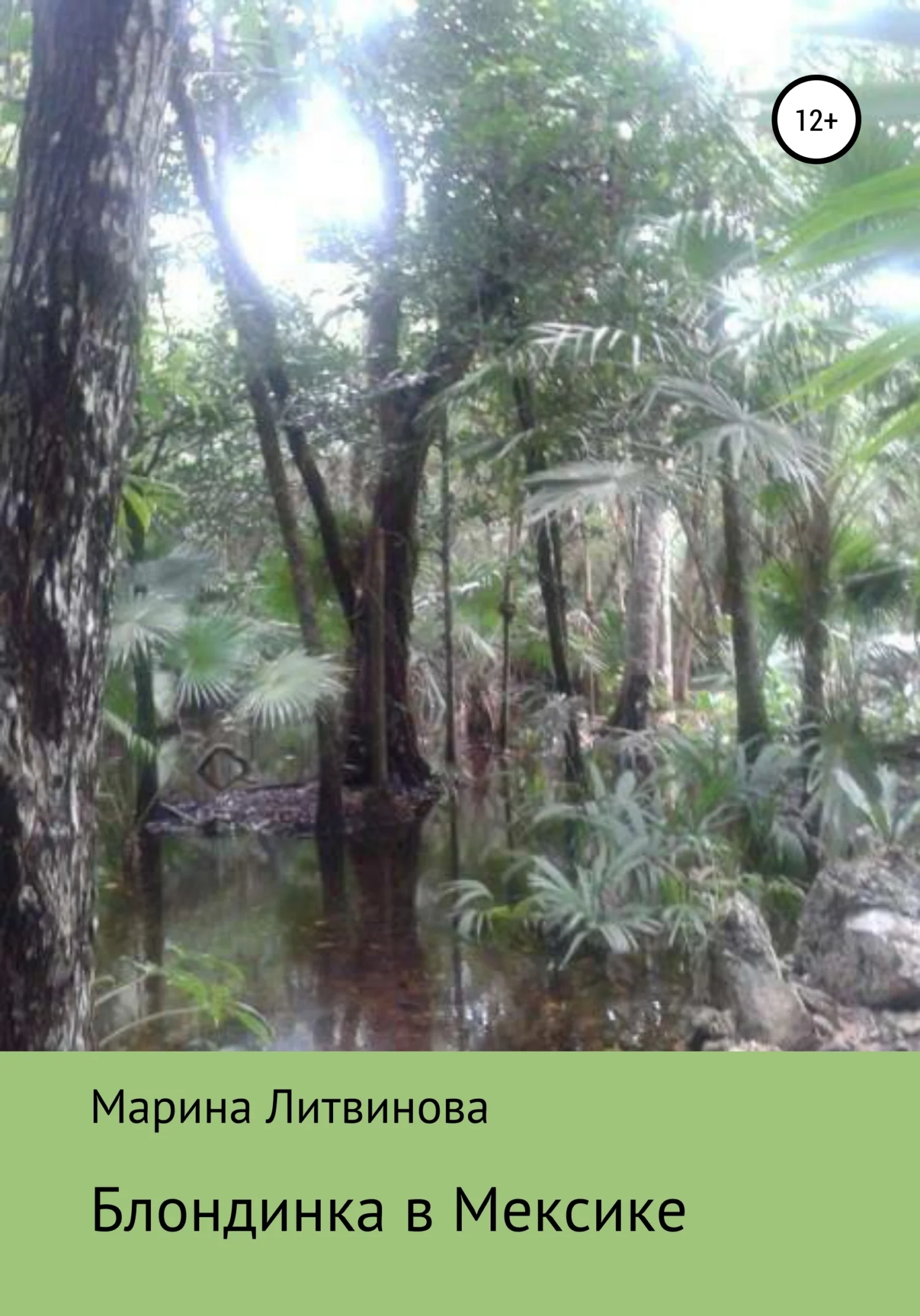 Обложка Блондинка в Мексике