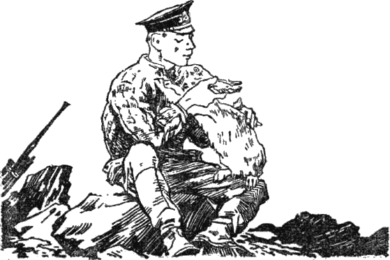 Обложка Батарейный заяц