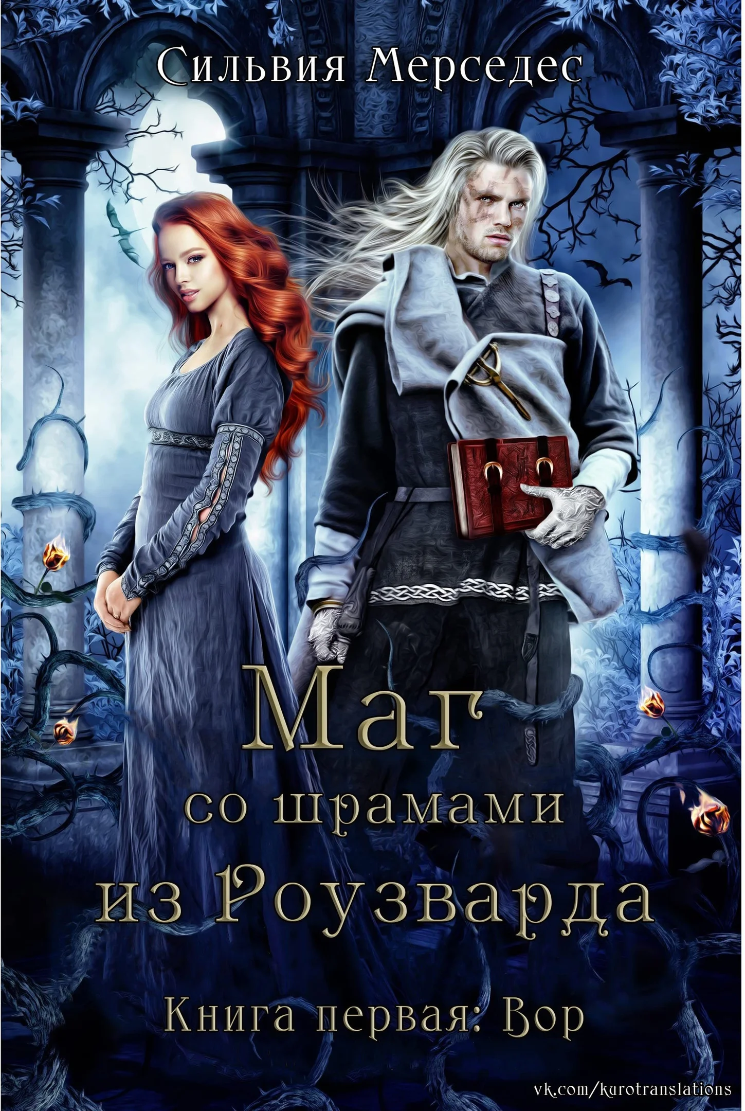 Обложка Вор