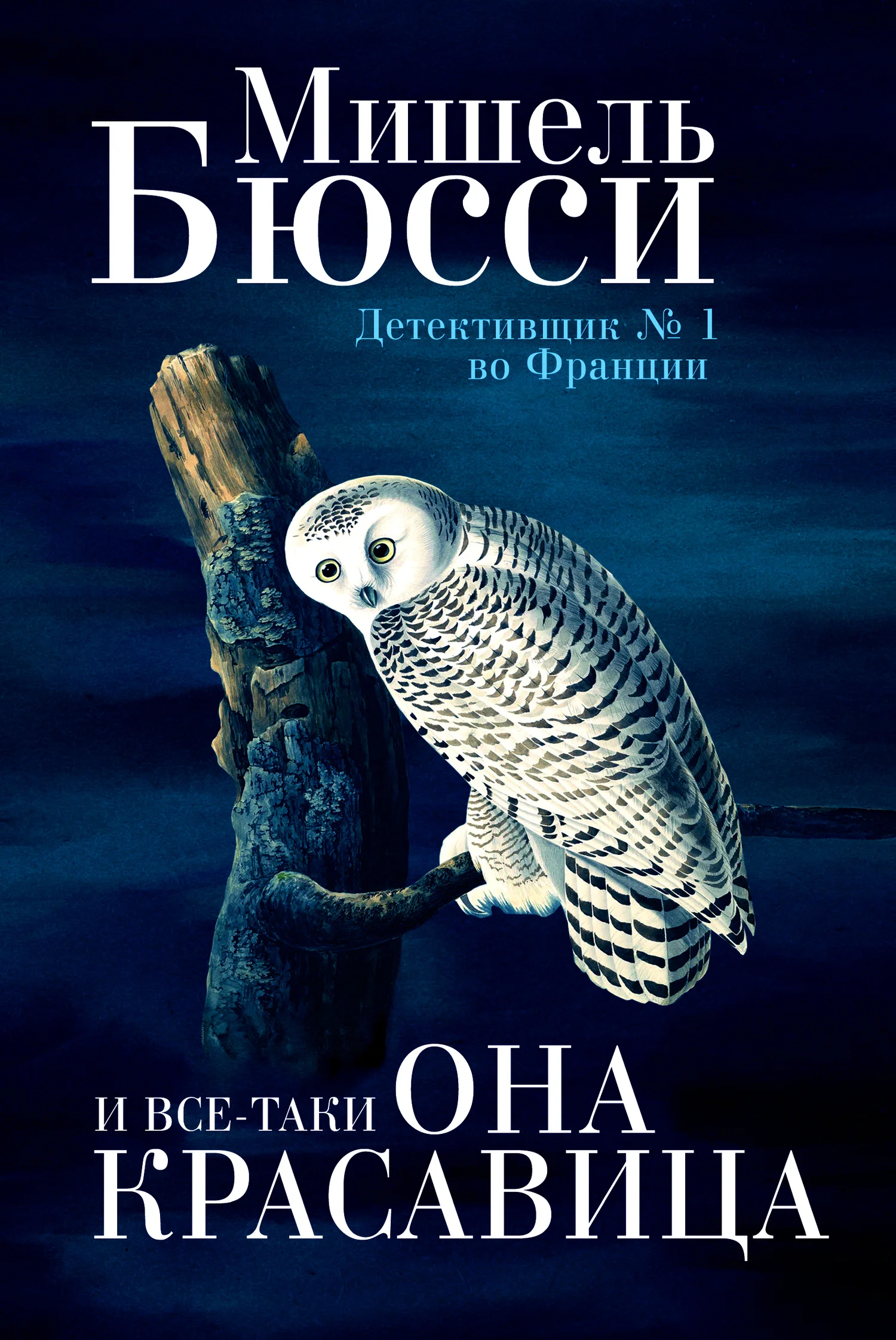 Обложка И все-таки она красавица