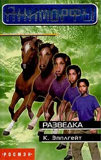 Обложка Разведка