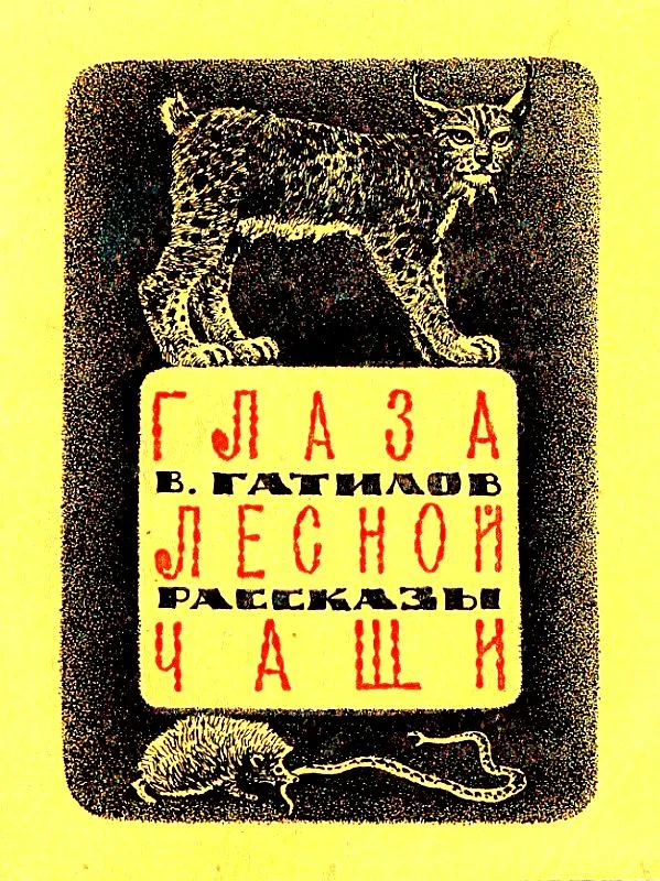 Обложка Глаза лесной чащи