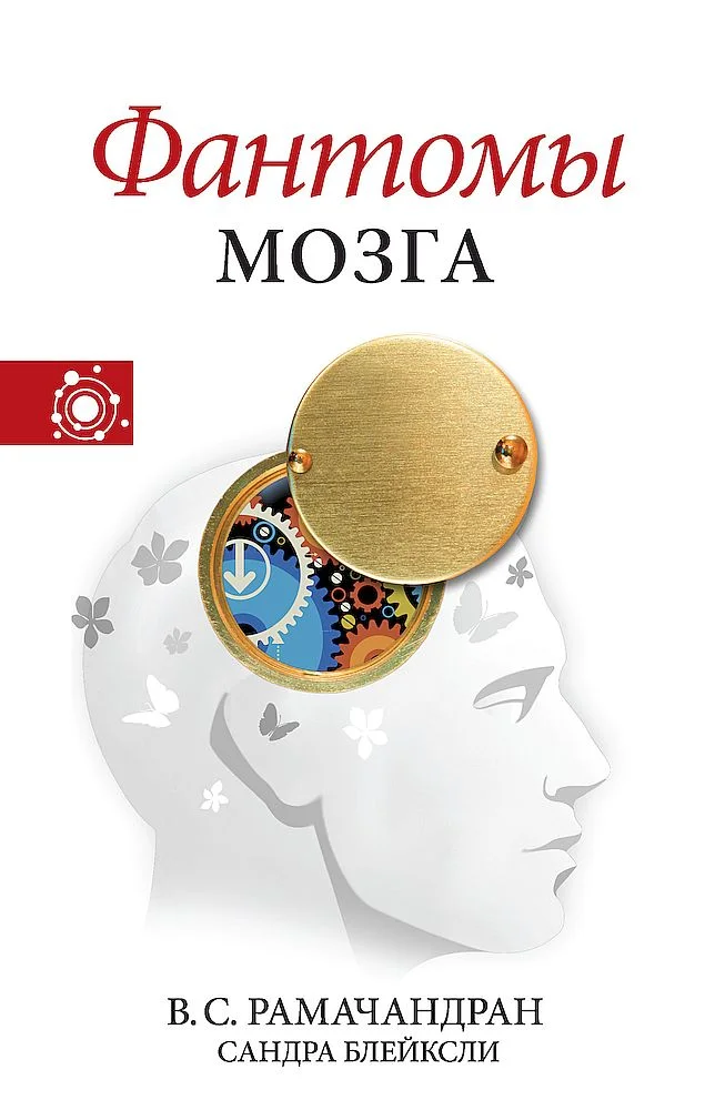 Обложка Фантомы мозга