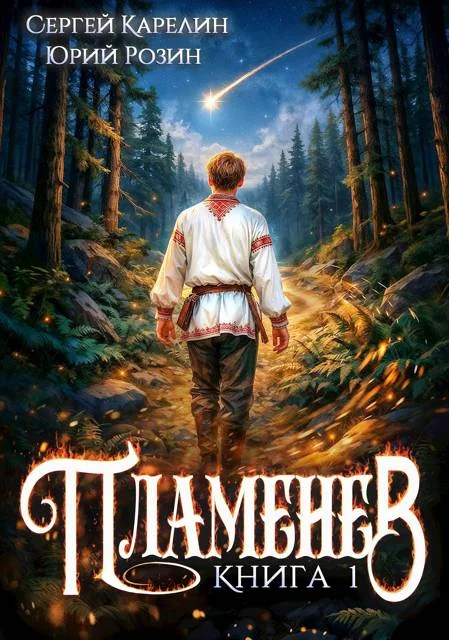 Обложка Пламенев. Книга I