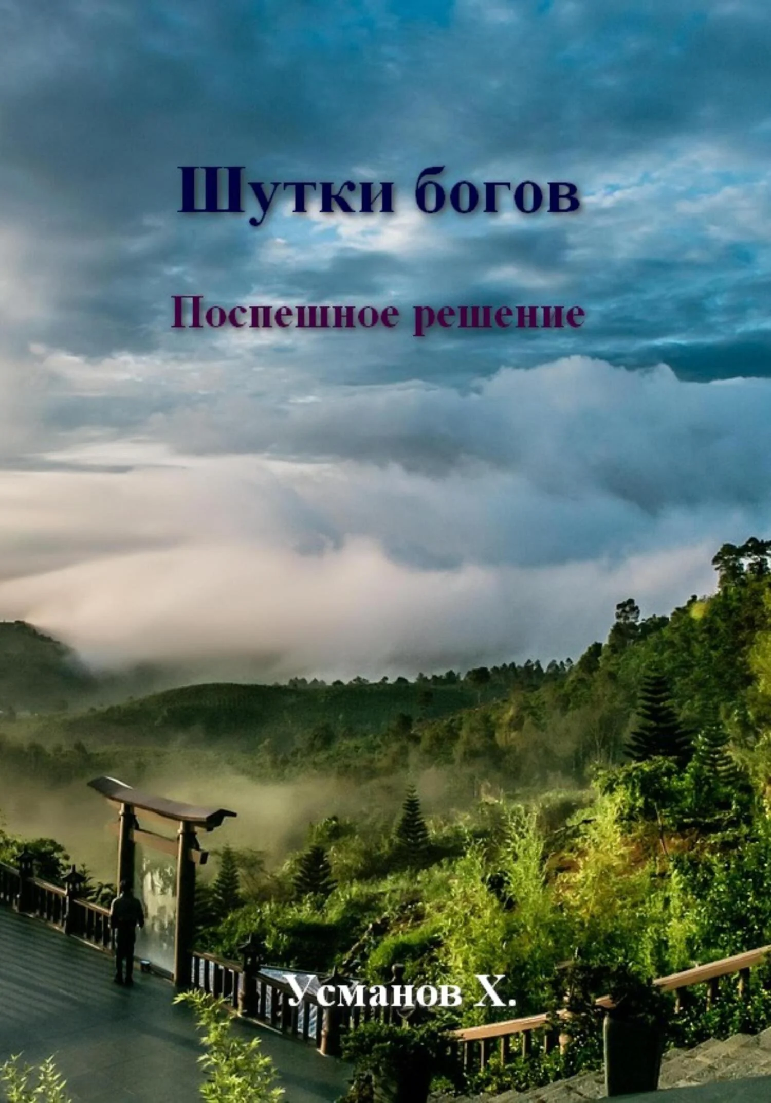 Обложка Поспешное решение