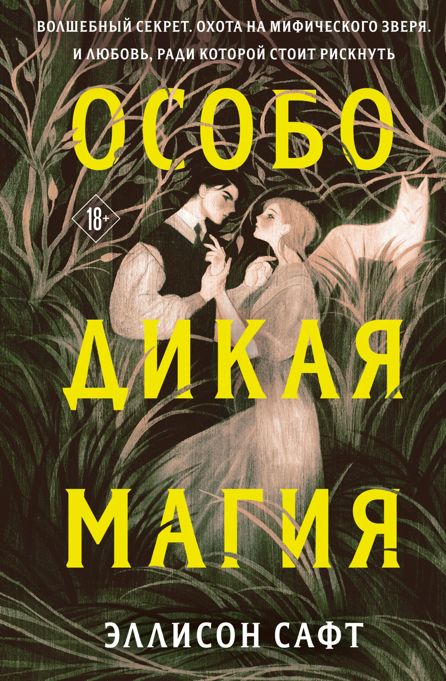 Обложка Особо дикая магия