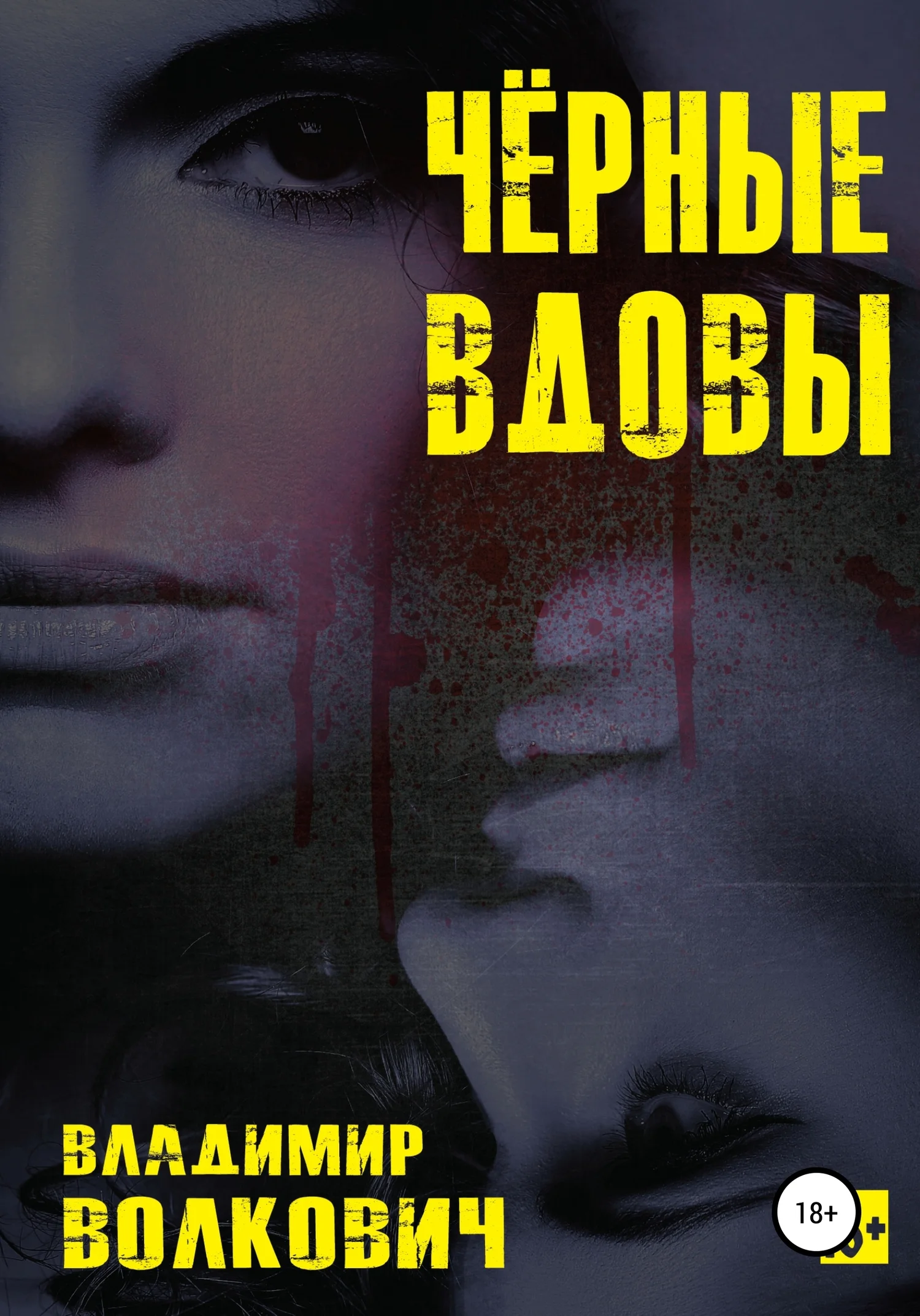 Обложка Чёрные вдовы