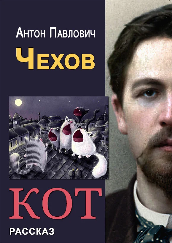 Обложка Кот