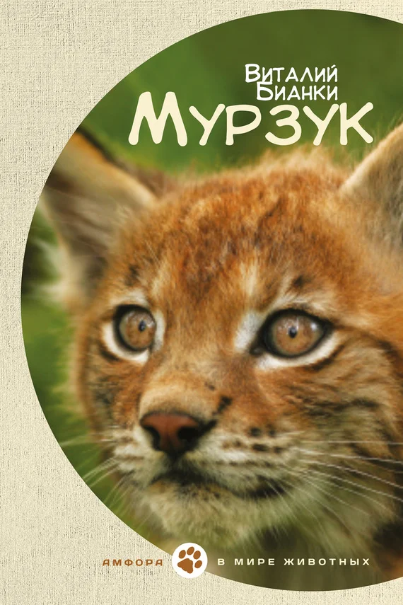 Обложка Мурзук