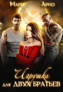 Обложка Игрушка для двух братьев