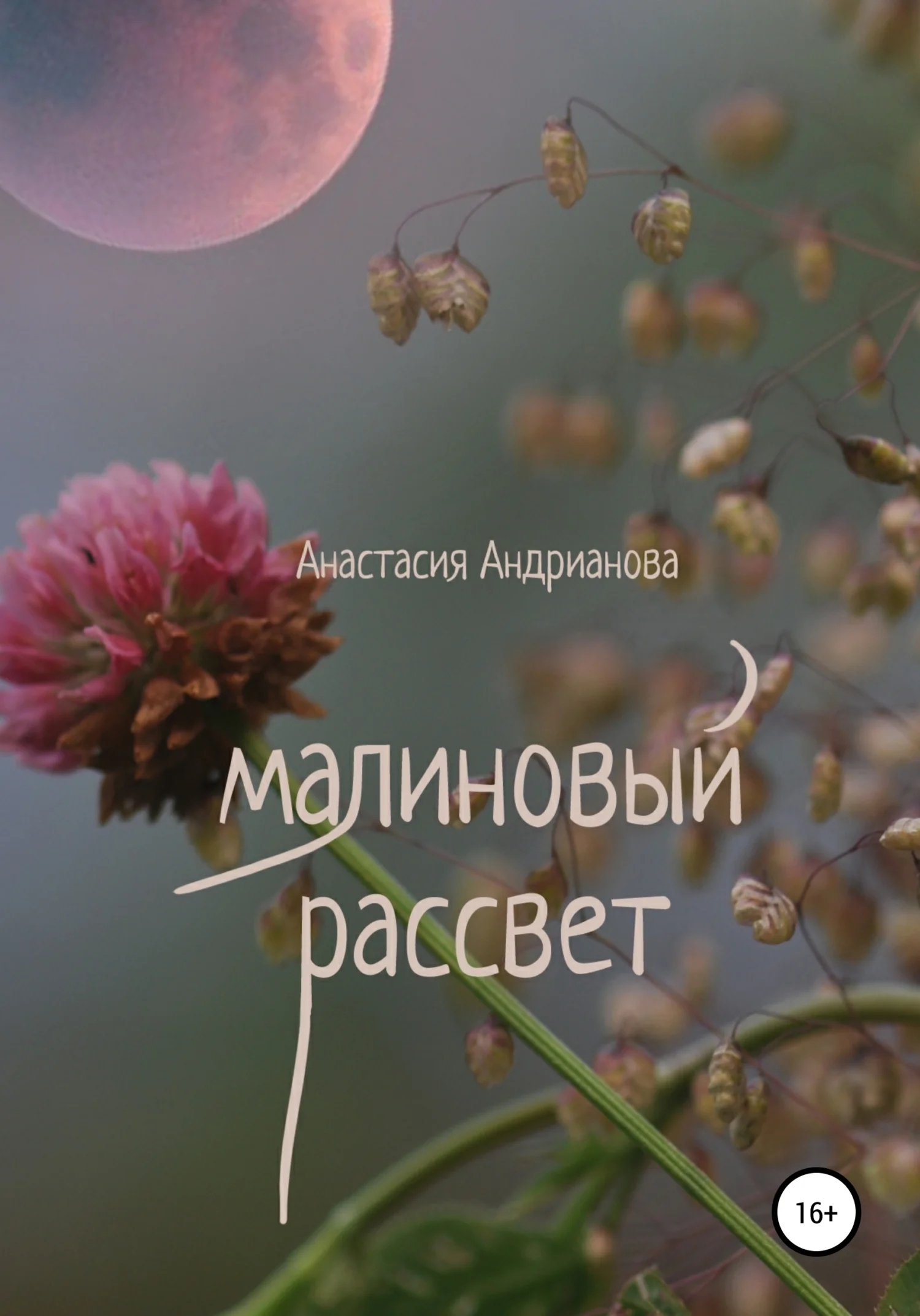 Обложка Малиновый рассвет