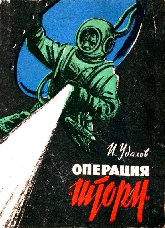 Обложка Операция «Шторм»