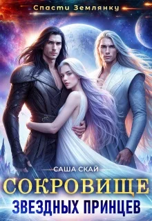 Обложка Сокровище звездных принцев